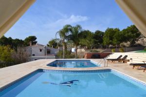 a swimming pool with a dolphin in the water at Villa Altavista El Campello, Alicante in El Campello