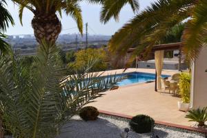 a villa with a swimming pool and a palm tree at Villa Altavista El Campello, Alicante in El Campello