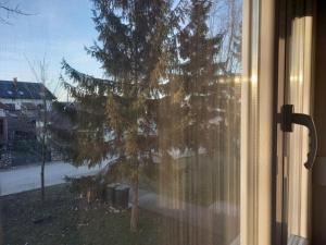 a window with a view of a tree at Apartment Sven in Vinkovci