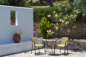 A garden outside Danai villa