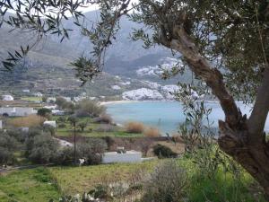 a view of a body of water from a hill at Amorgi Studios in Aegiali