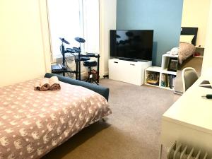 a bedroom with a bed and a flat screen tv at Spacious and cozy apartment in the heart of Haddington in Haddington