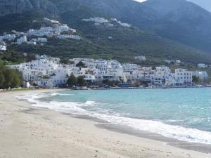 a view of a beach with white houses at Amorgi Studios in Aegiali