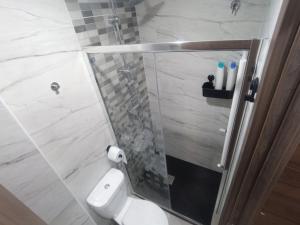 een badkamer met een toilet en een glazen douchecabine bij Mini Loft in Becerril de la Sierra