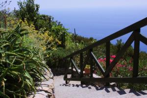 a stairway leading to a garden with flowers at Il Borgo Di Campi in Riomaggiore