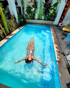 un chien nageant dans une piscine dans l'établissement Bona Vida Hostel, à Ríohacha