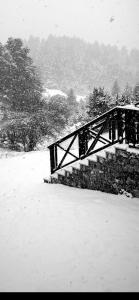 Gallery image of Shelter in Kalavrita
