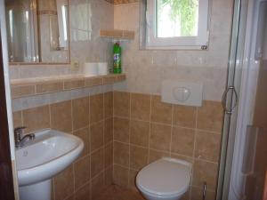 a bathroom with a toilet and a sink at Penzion Olšina 31 in Horní Planá