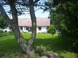 Zahrada ubytování Chalupa Olšina 31 - Ferienhaus