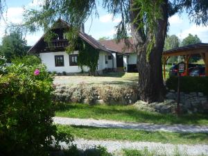 Zahrada ubytování Chalupa Olšina 31 - Ferienhaus