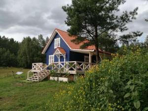 a blue house in a field with a tree at Święty Spokój Łąka i Woda in Pozezdrze