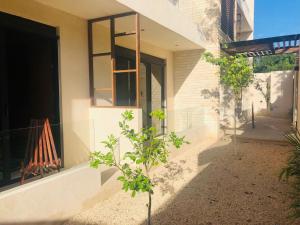 Tulum şehrindeki Zen Tulum tesisine ait fotoğraf galerisinden bir görsel +21 fotoğraf
