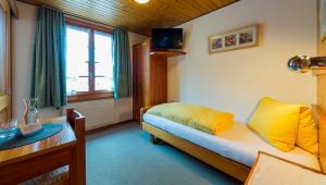 Swiss Lodge Joopi的电视和/或娱乐中心