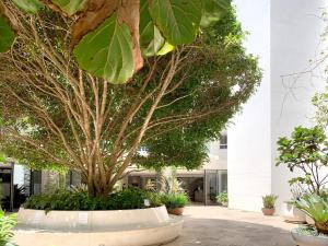 Um jardim em Miss Baker's Boutique Accommodation Bondi