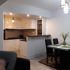 Kuchyň nebo kuchyňský kout v ubytování Apartament Elena