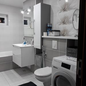 Koupelna v ubytování Apartament Elena + 17 fotografií