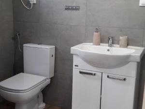 a bathroom with a toilet and a sink at La Paloma - Lux Houses in Kolczewo in Kołczewo