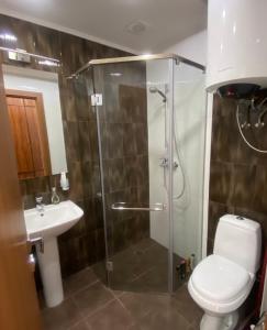 a bathroom with a shower and a toilet and a sink at Sunny Apartment Dilijan in Dilijan +18 photos
