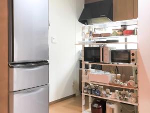 Kuchyň nebo kuchyňský kout v ubytování Guesthouse Hakuka