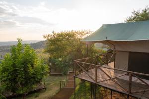 a tent with a staircase next to some trees at Pembeni Rhotia in Karatu +20 photos