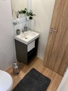 un bagno con lavandino, WC e specchio di Peputo Luxury Residence & Mobile Homes a Rovigno (Rovinj) Altre 40 foto
