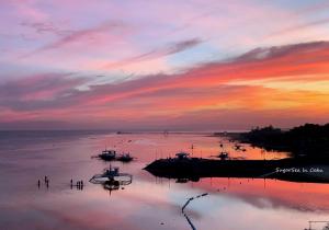 a group of boats in the water at sunset at Sugarsea Inn & Dive shop in Mactan