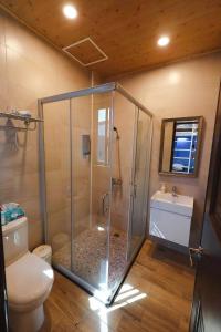 a bathroom with a shower with a toilet and a sink at 墾丁藍洞青旅 Blue Hole Backpacker Inn in Hengchun