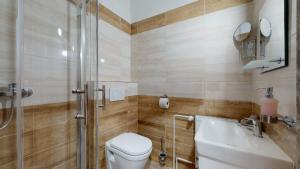 a bathroom with a toilet and a sink and a shower at Na starém městě Volary in Volary +19 photos