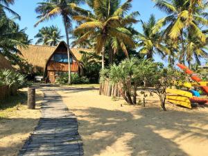 plaża z drewnianym chodnikiem i palmami w obiekcie Barra Dica Resort w mieście Cabo Nhamua