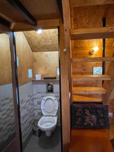un bagno con servizi igienici in una casetta minuscola di Villa Lochia - Η καλύβα του Τρύφωνα a Rámia