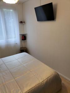 Schlafzimmer mit einem Bett und einem Flachbild-TV an der Wand in der Unterkunft Le Hameau in Mutzig