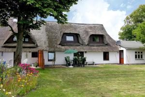 a house with a thatched roof with a yard at Holiday home on the dike, Büsum in Westerdeichstrich
