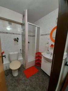 a bathroom with a toilet and a shower and a sink at Pension Zita in Znojmo