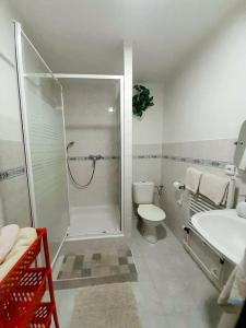 ein Bad mit einer Dusche, einem WC und einem Waschbecken in der Unterkunft Pension Zita in Znojmo