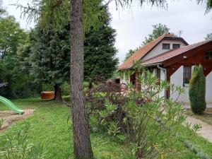 Zahrada ubytování Black Sheep Apartmant