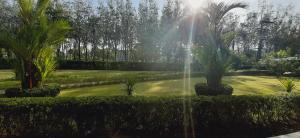 Zahrada ubytování Phuket Sirinapha Resort