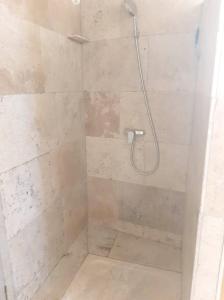 eine Dusche mit Duschkopf im Bad in der Unterkunft Appartement de 3 chambres avec wifi a Beaucaire in Beaucaire