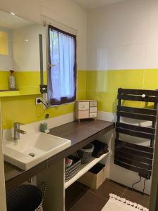 ein Bad mit einem Waschbecken und einem Fenster in der Unterkunft Maison entre bordeaux et le bassin d'arcachon avec piscine et jaccuzi 2 a 6 pers in Saint-Jean-dʼIllac