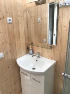 ein Badezimmer mit einem weißen Waschbecken und einem Spiegel in der Unterkunft Chalet "Belle-Etoile" Touraine Anjou avec piscine in Courcelles-de-Touraine