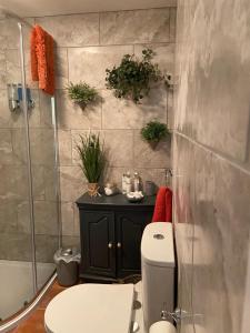 a bathroom with a toilet and a shower at Rathjarney Gatelodge in Wexford +29 photos