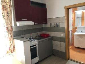 a small kitchen with a stove and a sink at Casuta Lavi Constanta in Constanţa