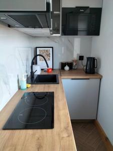 Kuchyňa alebo kuchynka v ubytovaní Uroczy apartament w centrum Krakowa