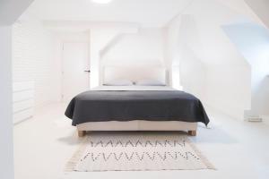 um quarto branco com uma cama e um tapete em U Zlaté hvězdy apartmán Broggio em Litoměřice