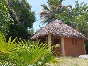 a small hut with a thatched roof and palm trees at Onja Surf Camp in Mahambo