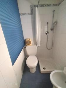 a bathroom with a toilet and a shower and a sink at Beatrice Apartment con 1camera da letto, un soggiorno cucina e bagno in Scordia