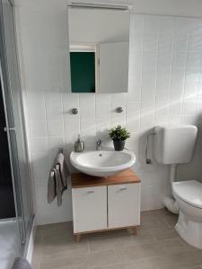 een badkamer met een wastafel, een toilet en een spiegel bij Cityapartment in Stadtlohn