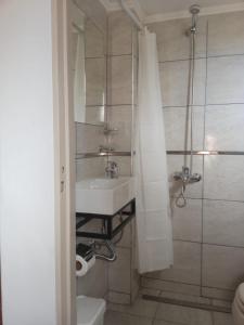 La salle de bains est pourvue d'un lavabo, de toilettes et d'une douche. dans l'établissement Cėntrico PARQUE CÍVICO, à Mendoza