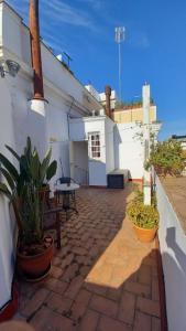 a patio with potted plants and a table on a building at Apartamento Santa Cruz Casco Antiguo con Terraza in Seville