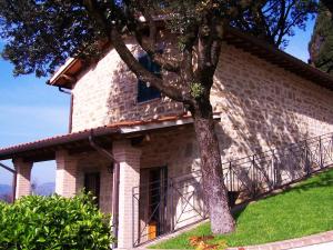 una casa in pietra con un albero di fronte di Agriturismo Ai Lecci a Ramazzano