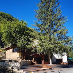 a house with a large tree in front of it at HOTEL CAMPO STELLA in Leonessa